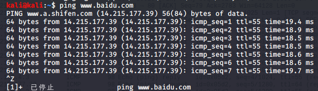 image-20200608174203428